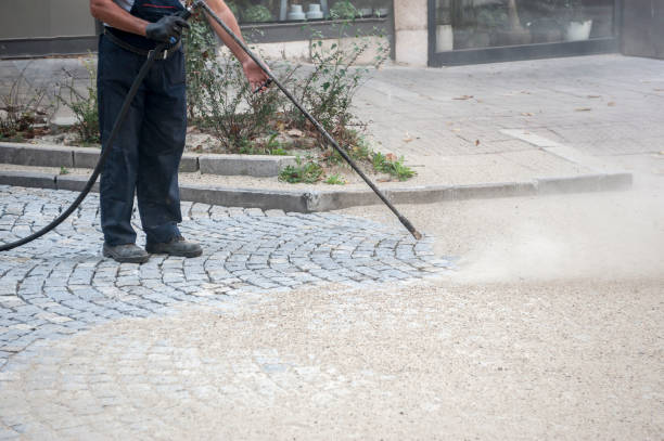 Best Driveway Pressure Washing  in Richmond West, FL